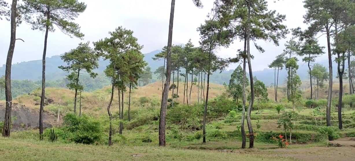Tegal Malaka Bukit Savana di Tarogong Kaler